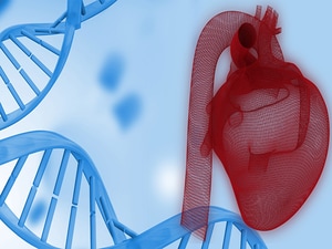 Half of Deaths From Homozygous FH Occur Before Age 32 Years