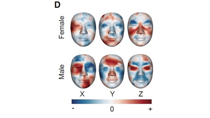 photo of Temperature facial landmarks men and women