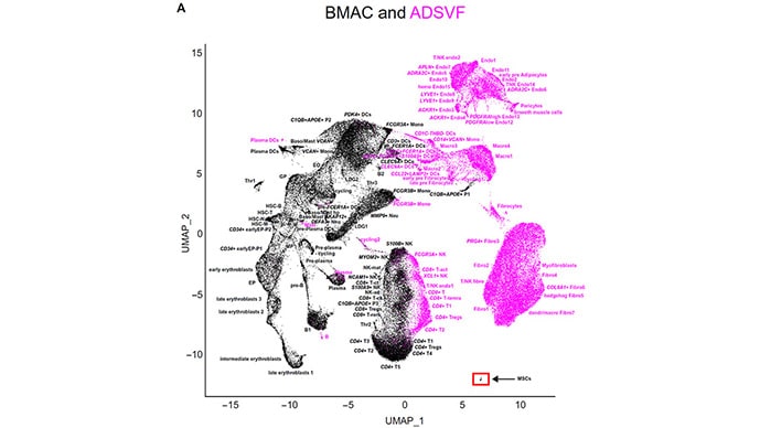 photo of Transcriptomics Bone Marrow &amp; Fat