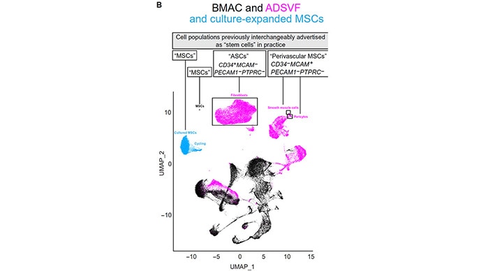 photo of Transcriptomics with Cultured Stem Cells